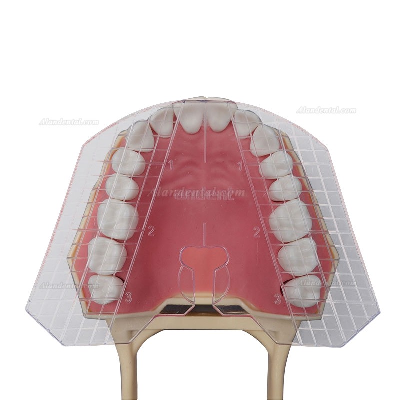 Dental Guide Template Plate For Complete Denture False Teeth Arrangement